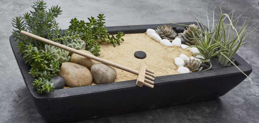 The Best Mini Zen Gardens For Your, Mini Zen Garden Kit Australia
